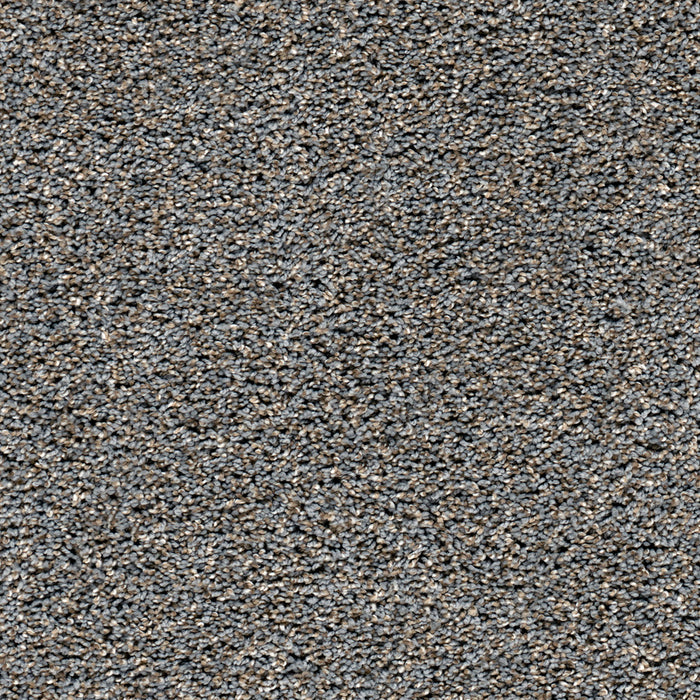 Metropolitan II Polyester Shadows 826 Carpet Textured 1