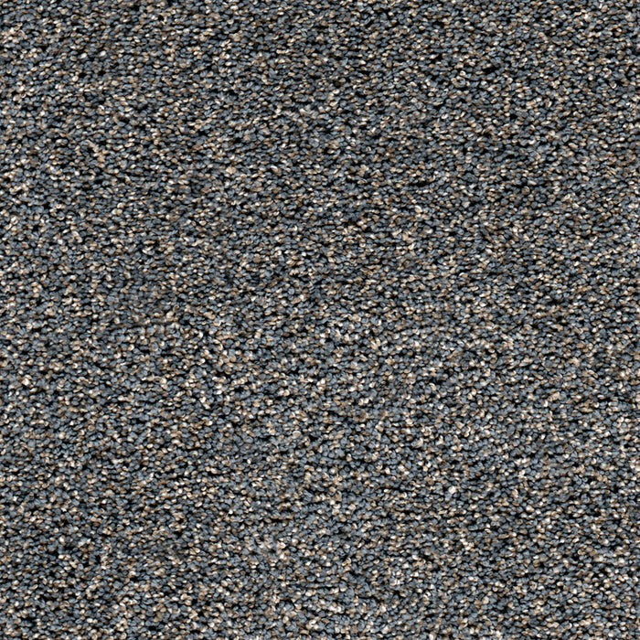 Metropolitan II Polyester Horizons 846 Carpet Textured 1
