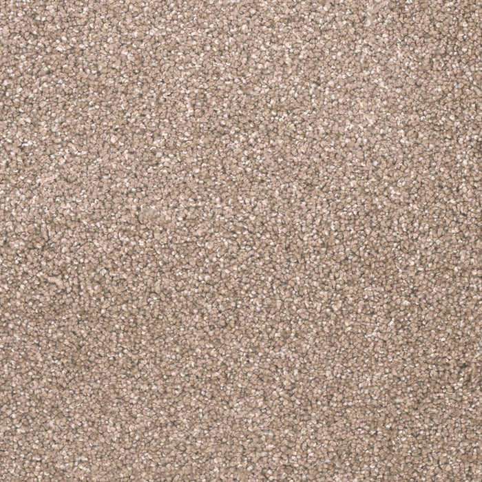 Metropolitan II Polyester Acorn 858 Carpet Textured 1