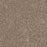 Metropolitan II Polyester Wynwood 874 Carpet Textured 1