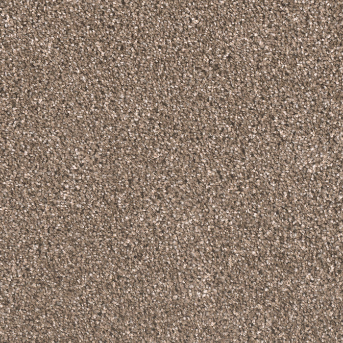 Metropolitan II Polyester Wynwood 874 Carpet Textured 1