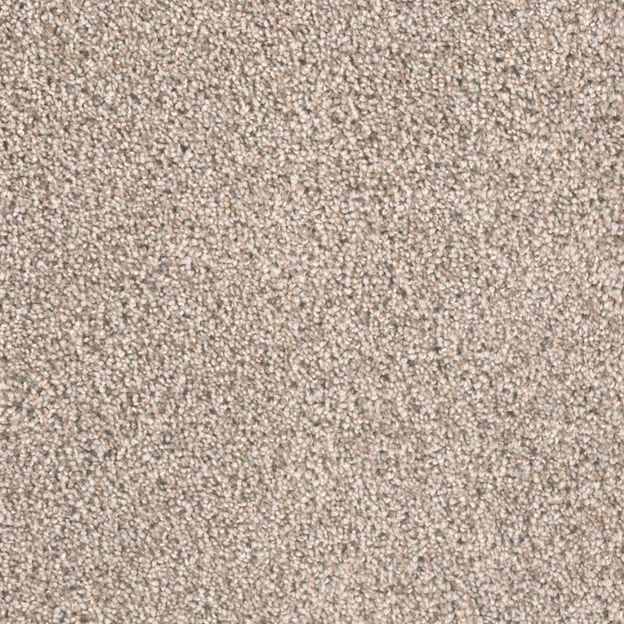 Metropolitan II Polyester Stucco 905 Carpet Textured 1