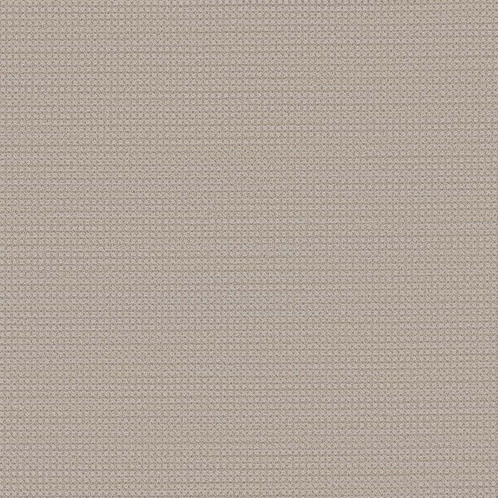 Montreal Polyester Bonavista 8315 Carpet Loop 1