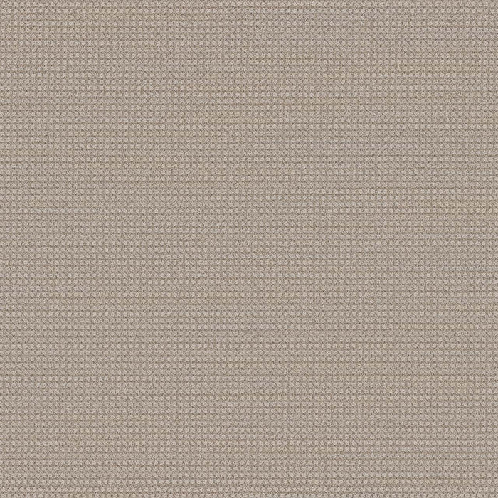 Montreal Polyester Lion'S Bay 8454 Carpet Loop 1