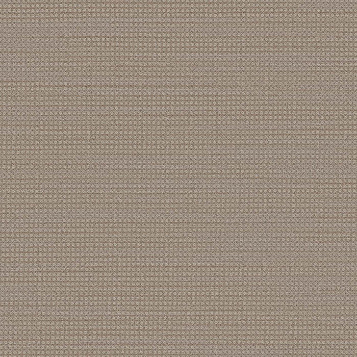 Montreal Polyester Elk Point 8574 Carpet Loop 1