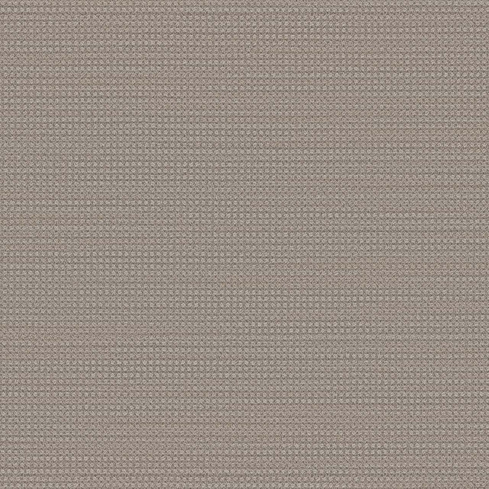 Montreal Polyester Shellbrook 8580 Carpet Loop 1