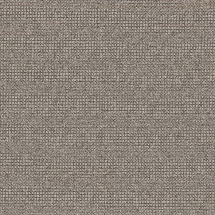 Montreal Polyester Willowdale 8670 Carpet Loop 1