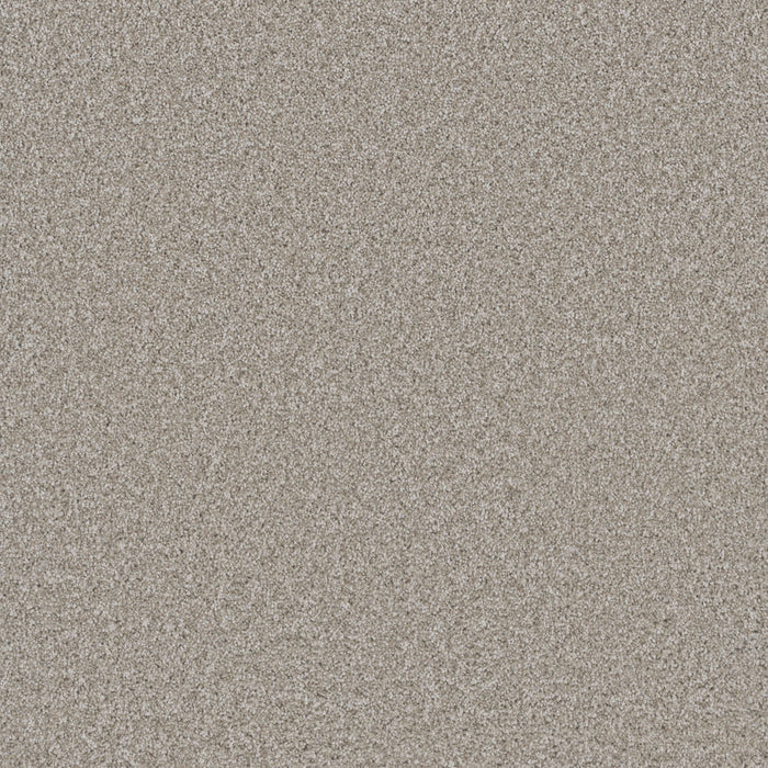 Cosmopolitan II Polyester Porcelain 486 Carpet Textured 1
