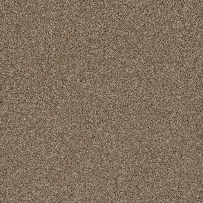 Cosmopolitan II Polyester Straw 551 Carpet Textured 1