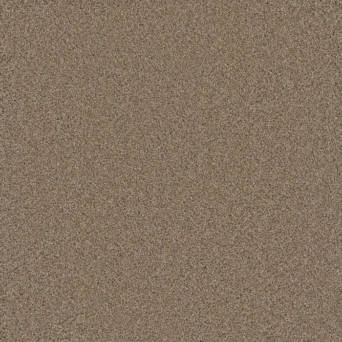 Cosmopolitan II Polyester Ginger 726 Carpet Textured 1