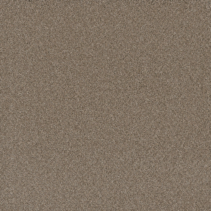 Cosmopolitan II Polyester Mocha 883 Carpet Textured 1