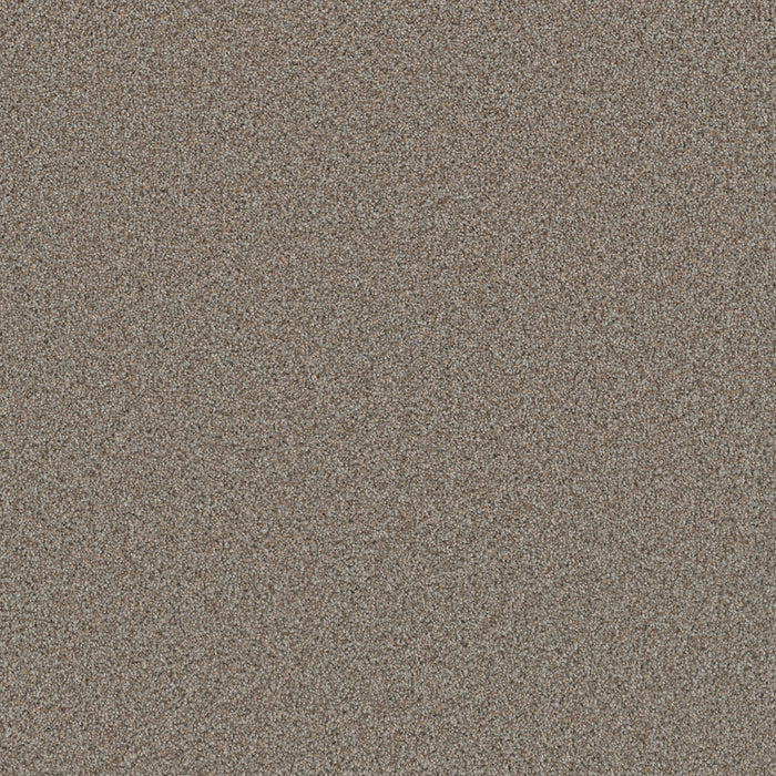 Cosmopolitan II Polyester Iron Frost 815 Carpet Textured 1