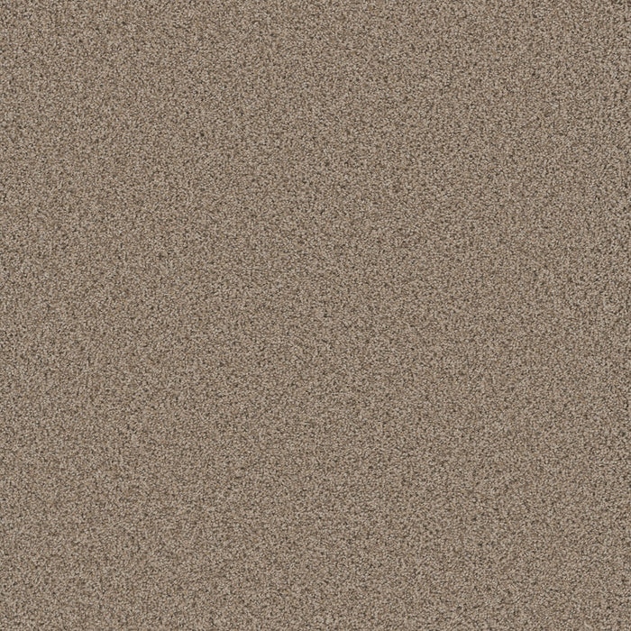 Cosmopolitan II Polyester Linen 824 Carpet Textured 1