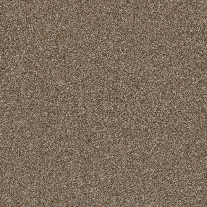 Cosmopolitan II Polyester Wicker 825 Carpet Textured 1