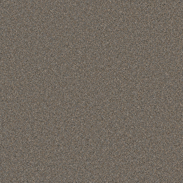 Cosmopolitan II Polyester Shadows 826 Carpet Textured 1