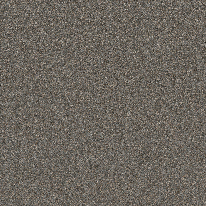 Cosmopolitan II Polyester Horizons 846 Carpet Textured 1