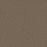 Cosmopolitan II Polyester Acorn 858 Carpet Textured 1