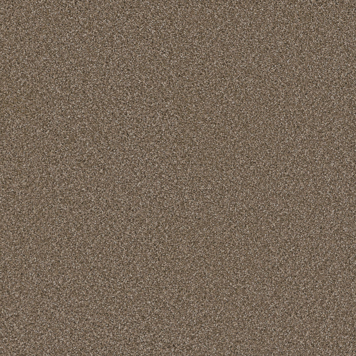 Cosmopolitan II Polyester Acorn 858 Carpet Textured 1