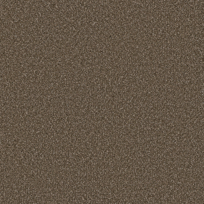 Cosmopolitan II Polyester Wynwood 874 Carpet Textured 1