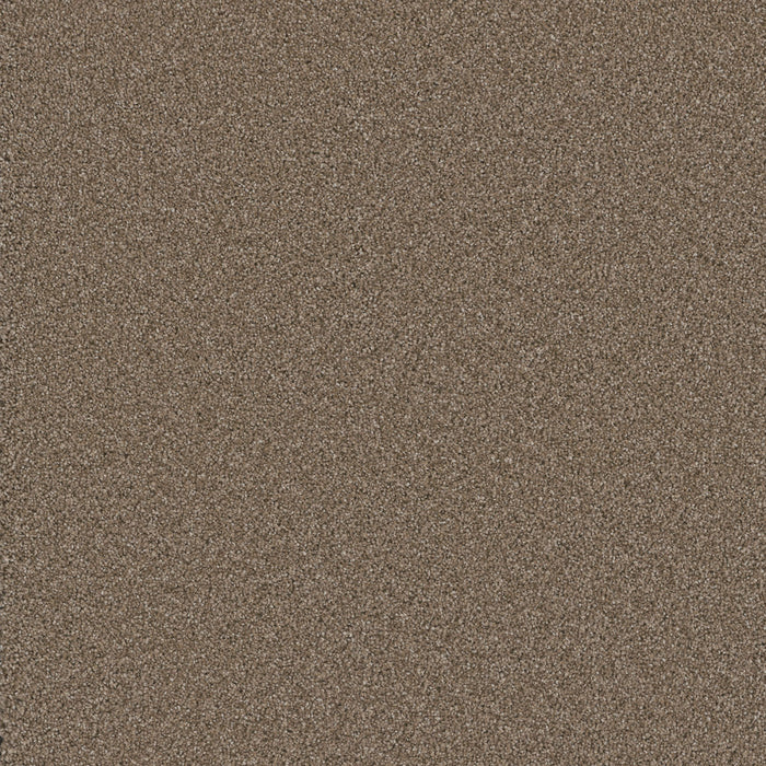 Cosmopolitan II Polyester Tumbleweed 883 Carpet Textured 1
