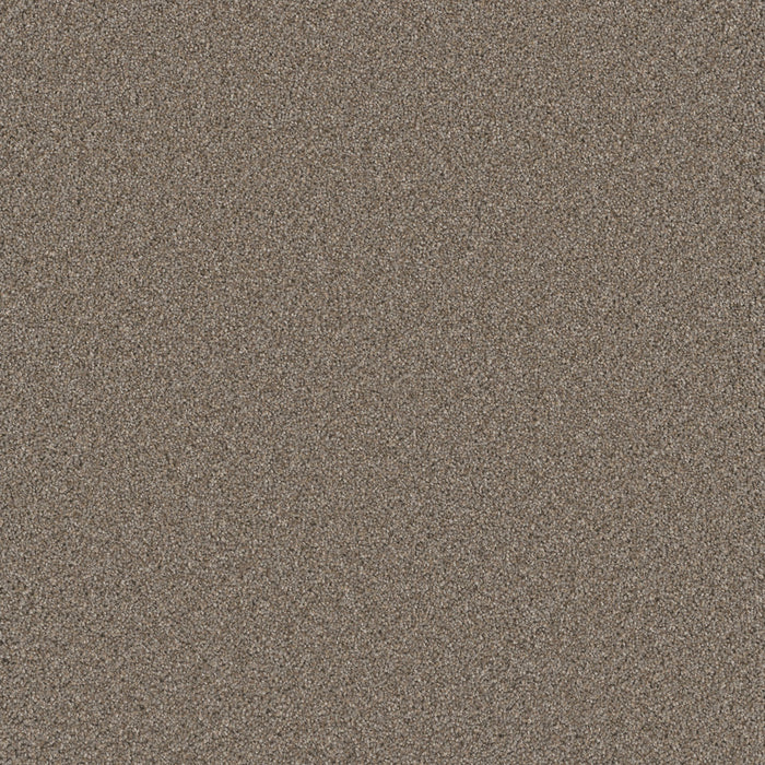 Cosmopolitan II Polyester Ash 945 Carpet Textured 1