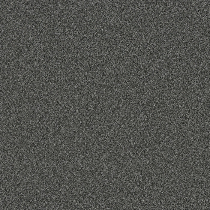 Cosmopolitan II Polyester Zinc 959 Carpet Textured 1
