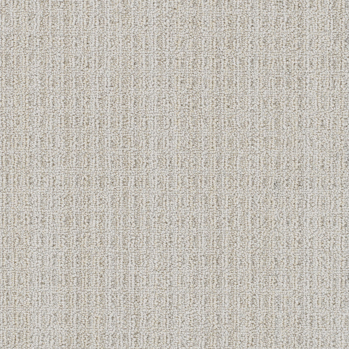 Windsor Polyester Andorra 4823 Carpet Loop 1