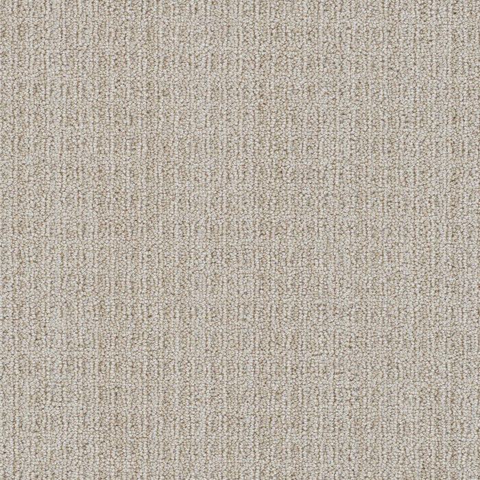 Windsor Polyester Casa Bonita 8050 Carpet Loop 1