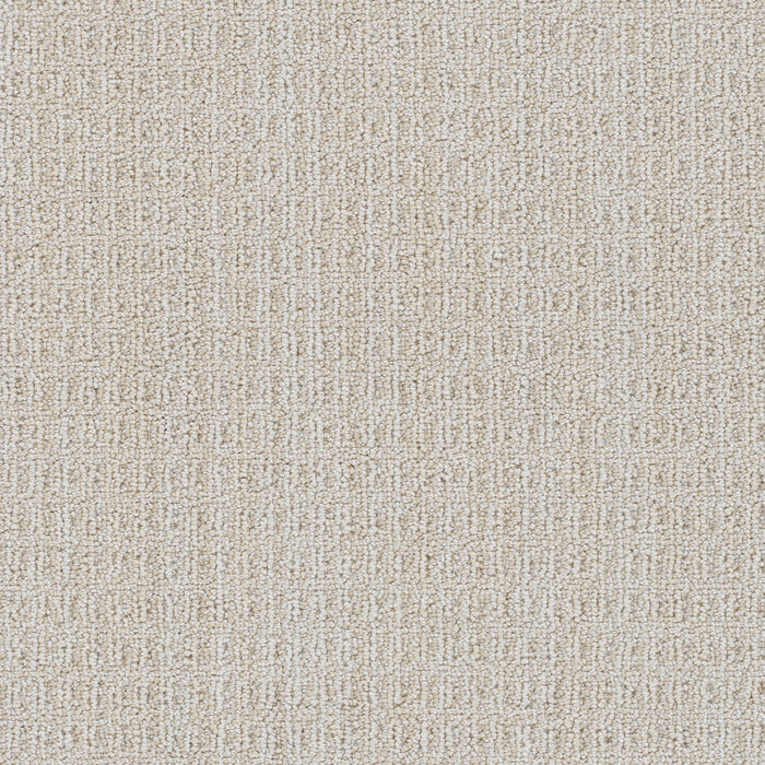 Windsor Polyester The Dunes 8080 Carpet Loop 1