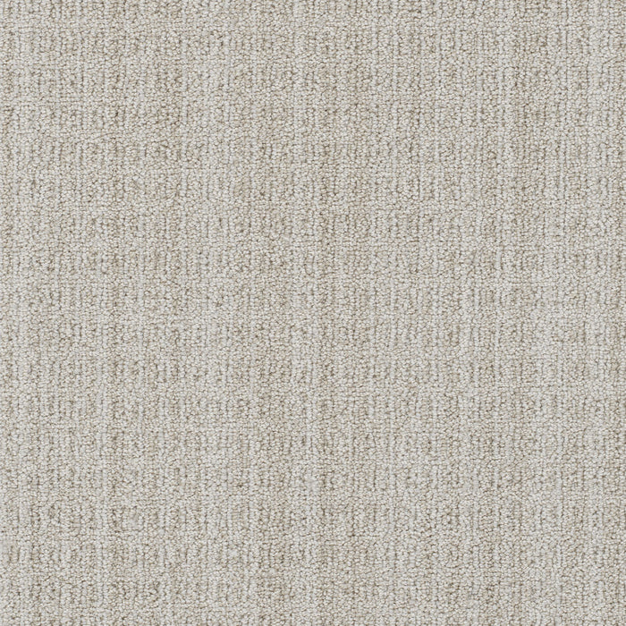 Windsor Polyester Via Bella 8115 Carpet Loop 1