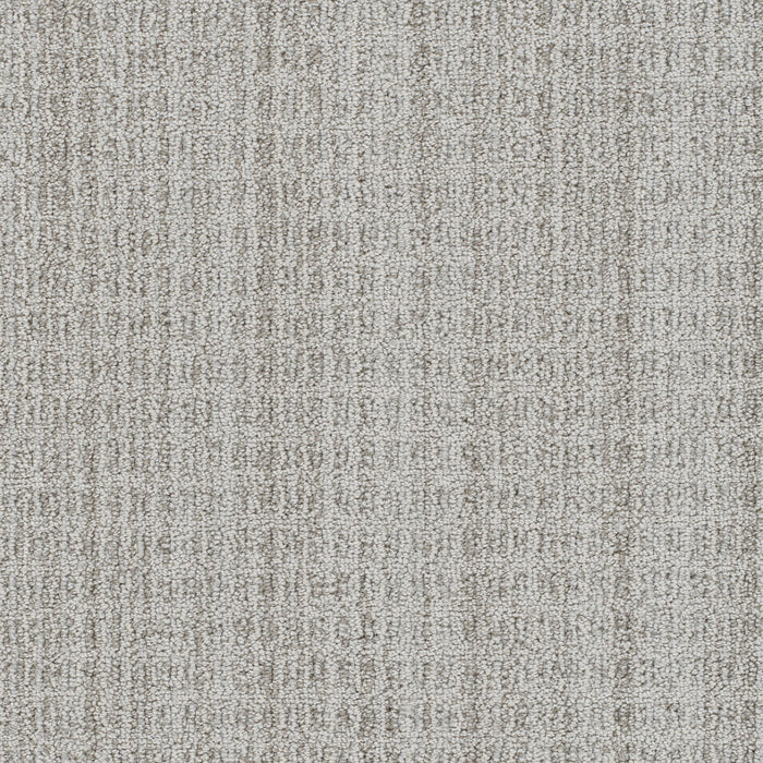 Windsor Polyester Alta 8116 Carpet Loop 1