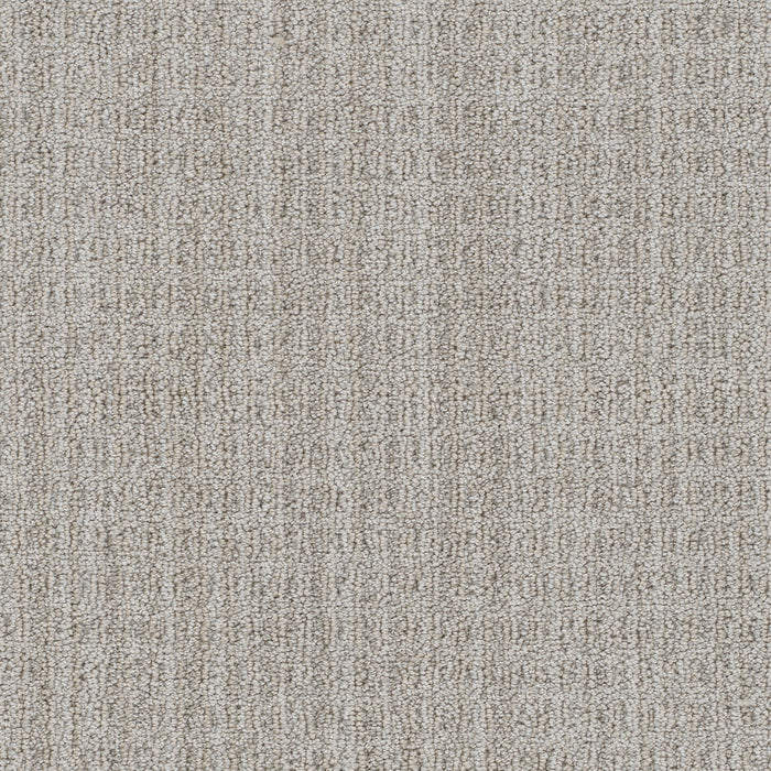 Windsor Polyester Catalyst 8208 Carpet Loop 1