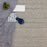 San Lucas Polyester East Cape 6130 Carpet Loop 3