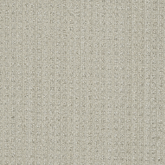 Dublin Polyester Merino 2703 Carpet Loop 1