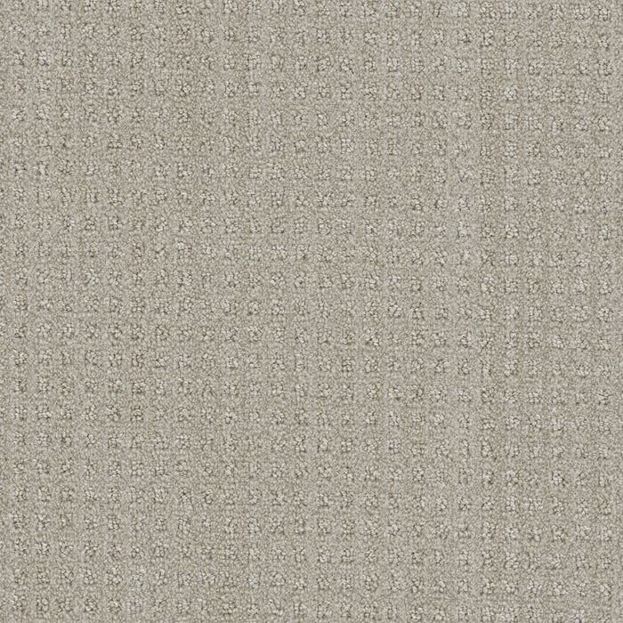 Dublin Polyester Chevoit 3912 Carpet Loop 1