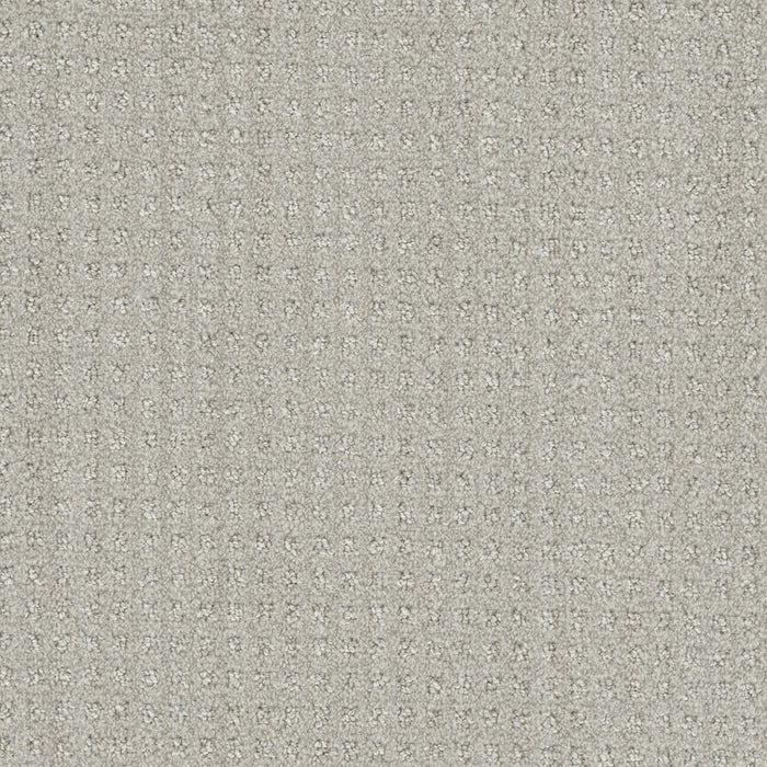 Dublin Polyester Tweel 3915 Carpet Loop 1
