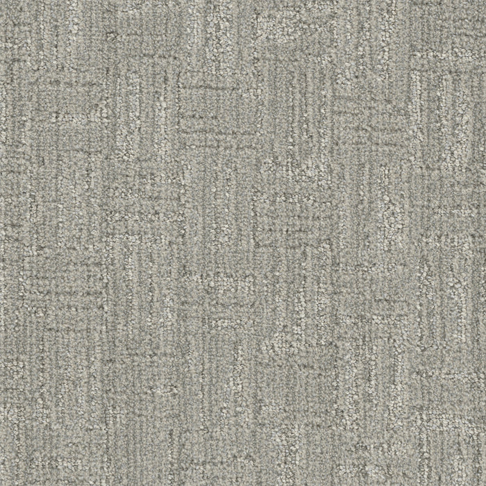 Century Polyester In A Lifetime 2702 Carpet Loop 1