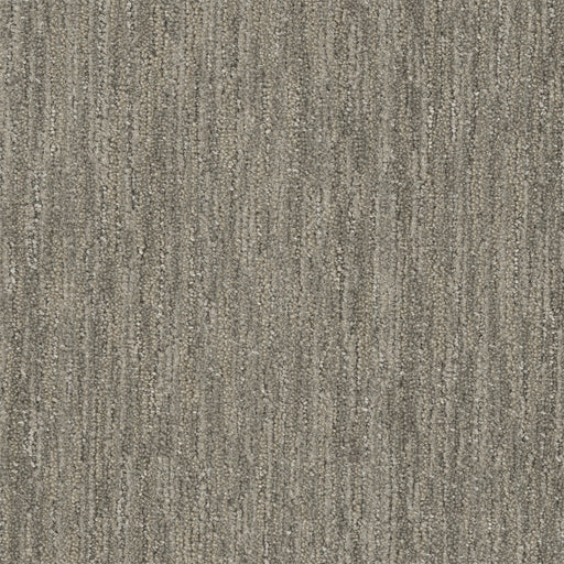Baja Polyester Mexicali 2716 Area Rug Textured 1