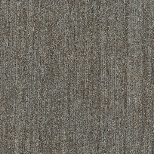 Baja Polyester Mesquite 2738 Area Rug Textured 1
