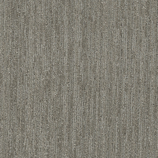 Baja Polyester Barrel Cactus 2740 Area Rug Textured 1