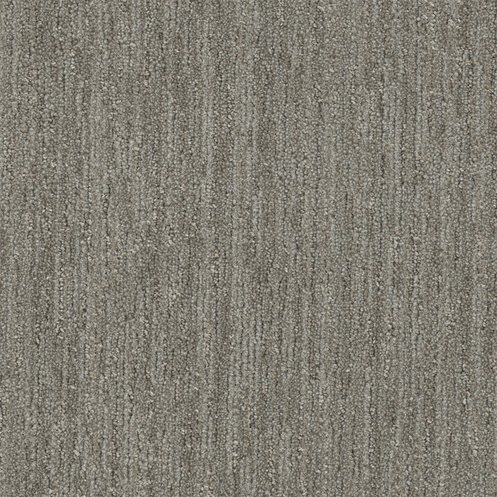 Baja Polyester Barrel Cactus 2740 Area Rug Textured 1