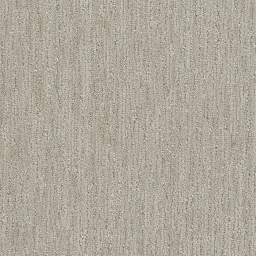 Baja Polyester Osprey 2768 Area Rug Textured 1