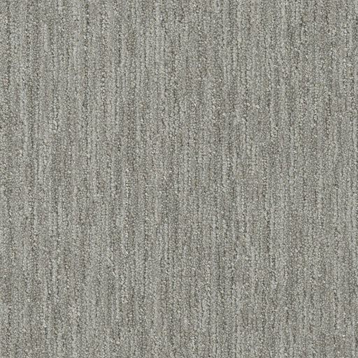 Baja Polyester Ambrosia 2771 Area Rug Textured 1