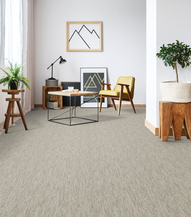 Baja Polyester Agave 2776 Carpet Loop 2
