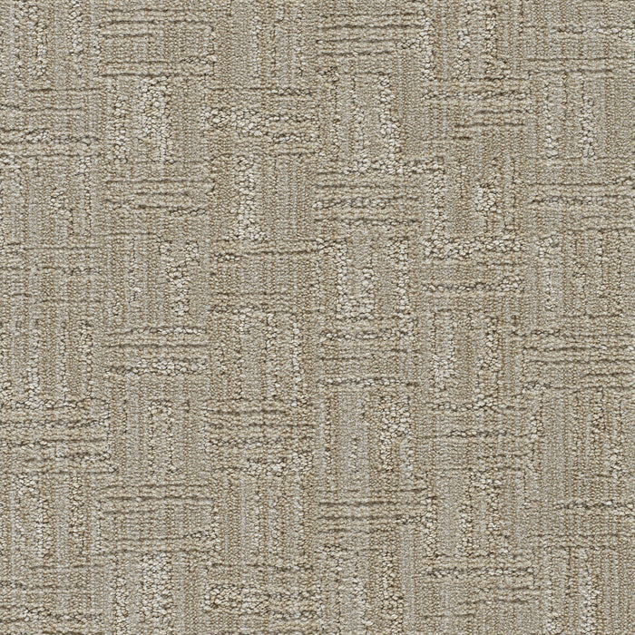 Century II Polyester Media 8212 Carpet Loop 1