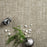 Century II Polyester Malta 8030 Carpet Loop 2