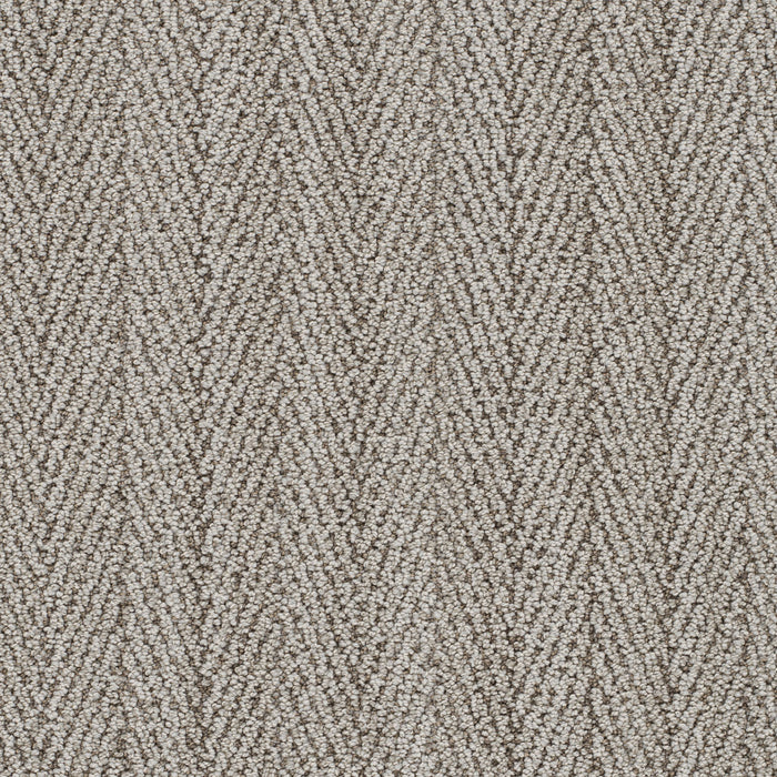 San Lucas II Polyester Giovanni 8052 Carpet Loop 1