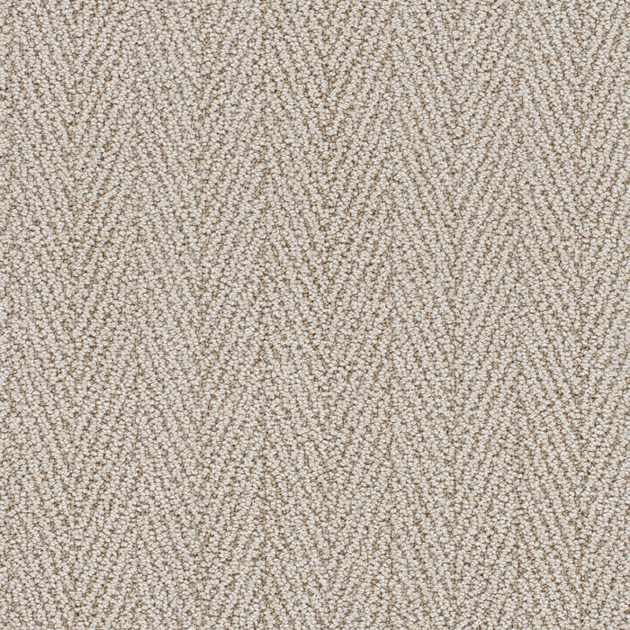 San Lucas II Polyester Sanymount 8073 Carpet Loop 1