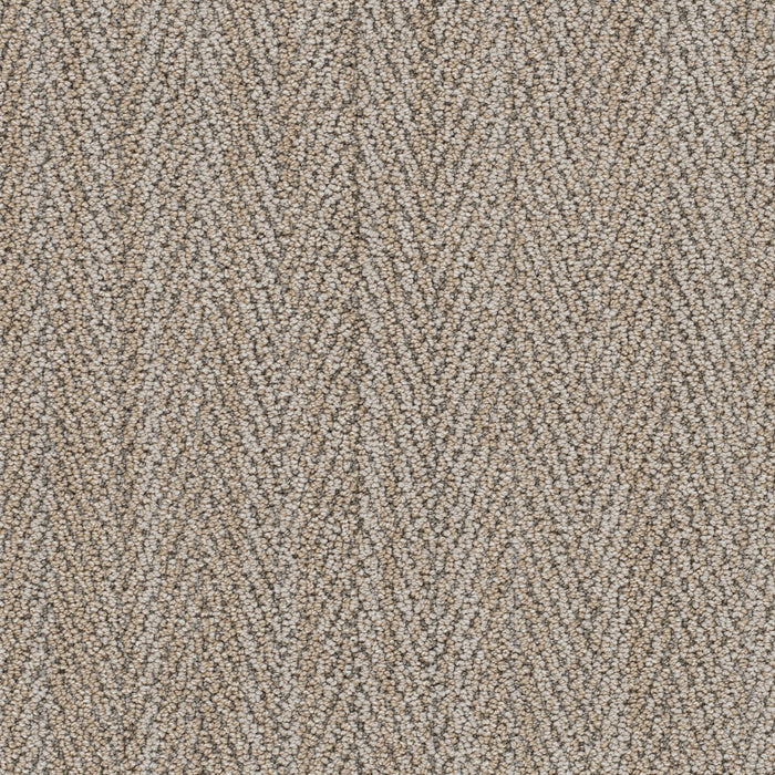 San Lucas II Polyester Rancho 8131 Carpet Loop 1