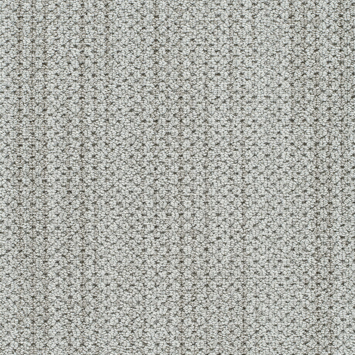 Montreal II Polyester Tralee 8042 Carpet Loop 1